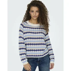 JdY Truien & sweaters Fashion